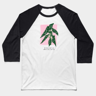 Begonia maculata Baseball T-Shirt